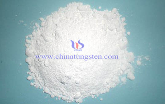 ??? ??? ?? ?? ??? ??? ?? ??